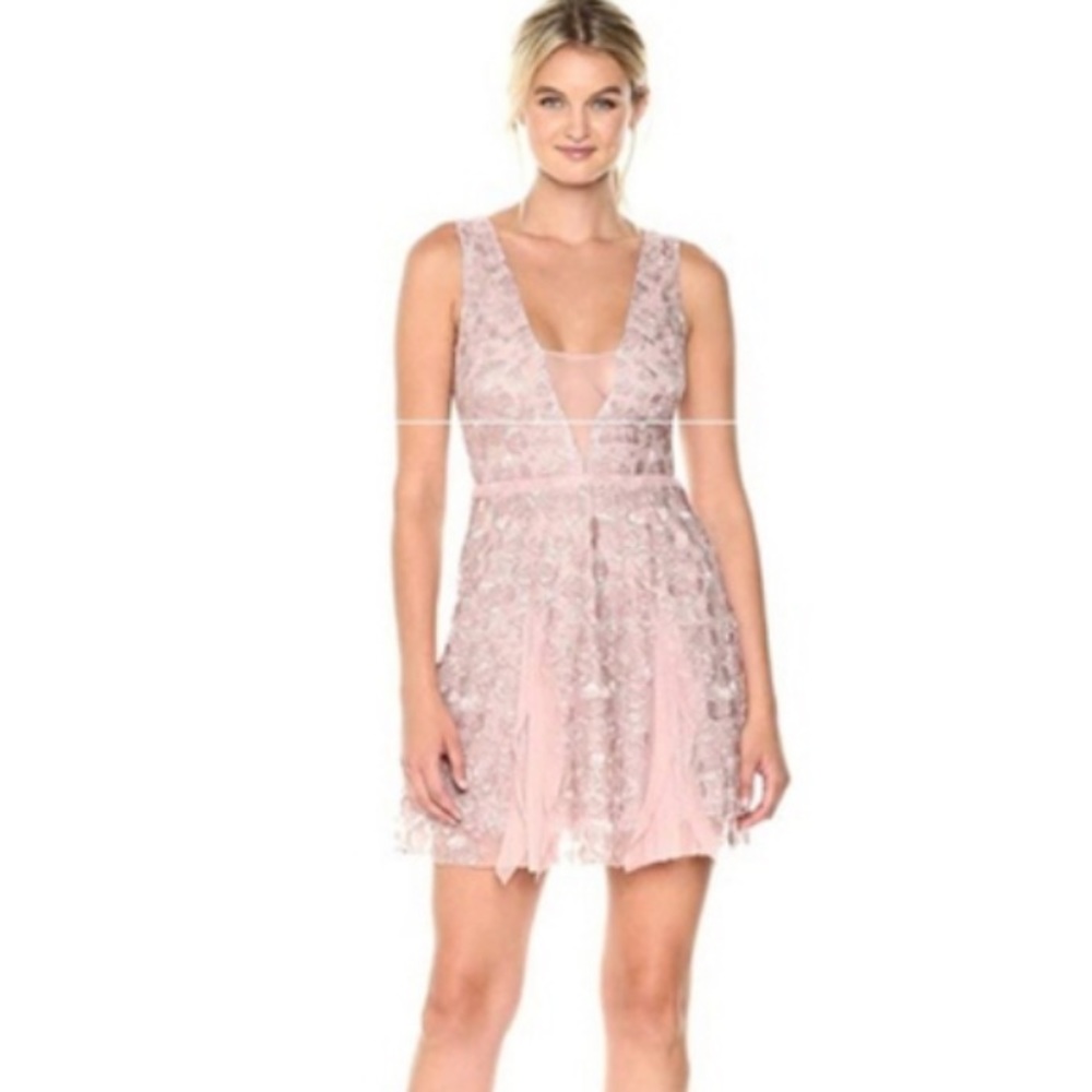 BCBG MaxAzria Phoebe Embroidered Tulle dress in Antique Rose